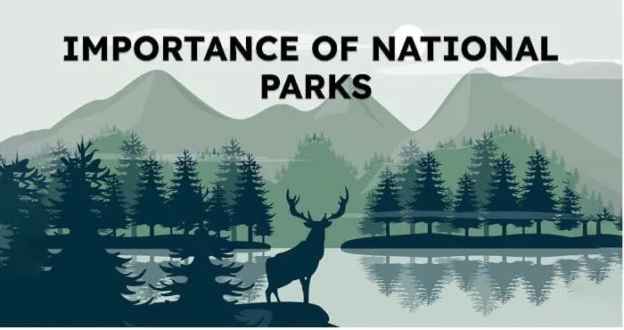 Why are National Parks Important?