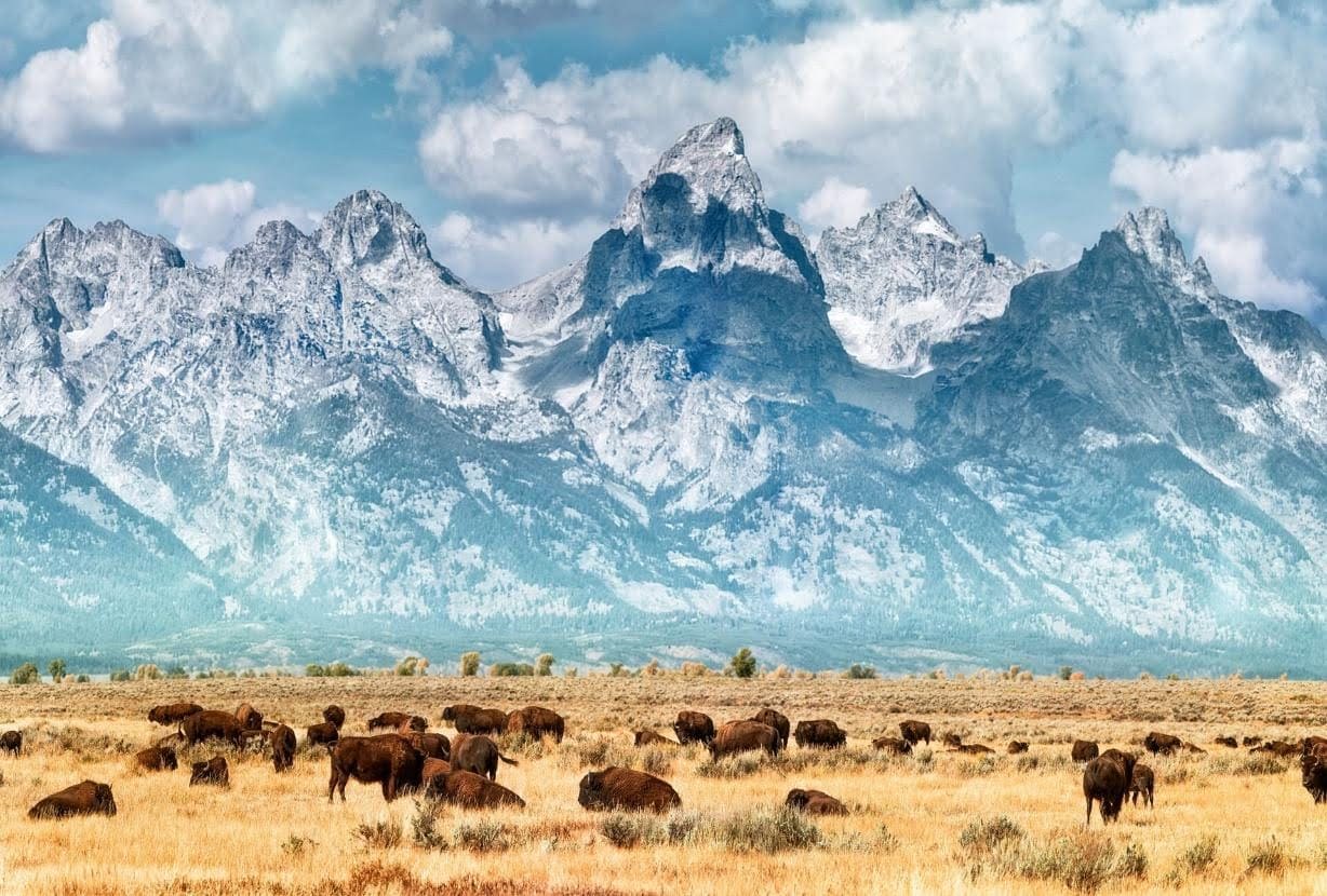 15 Most-Asked Questions About Yellowstone