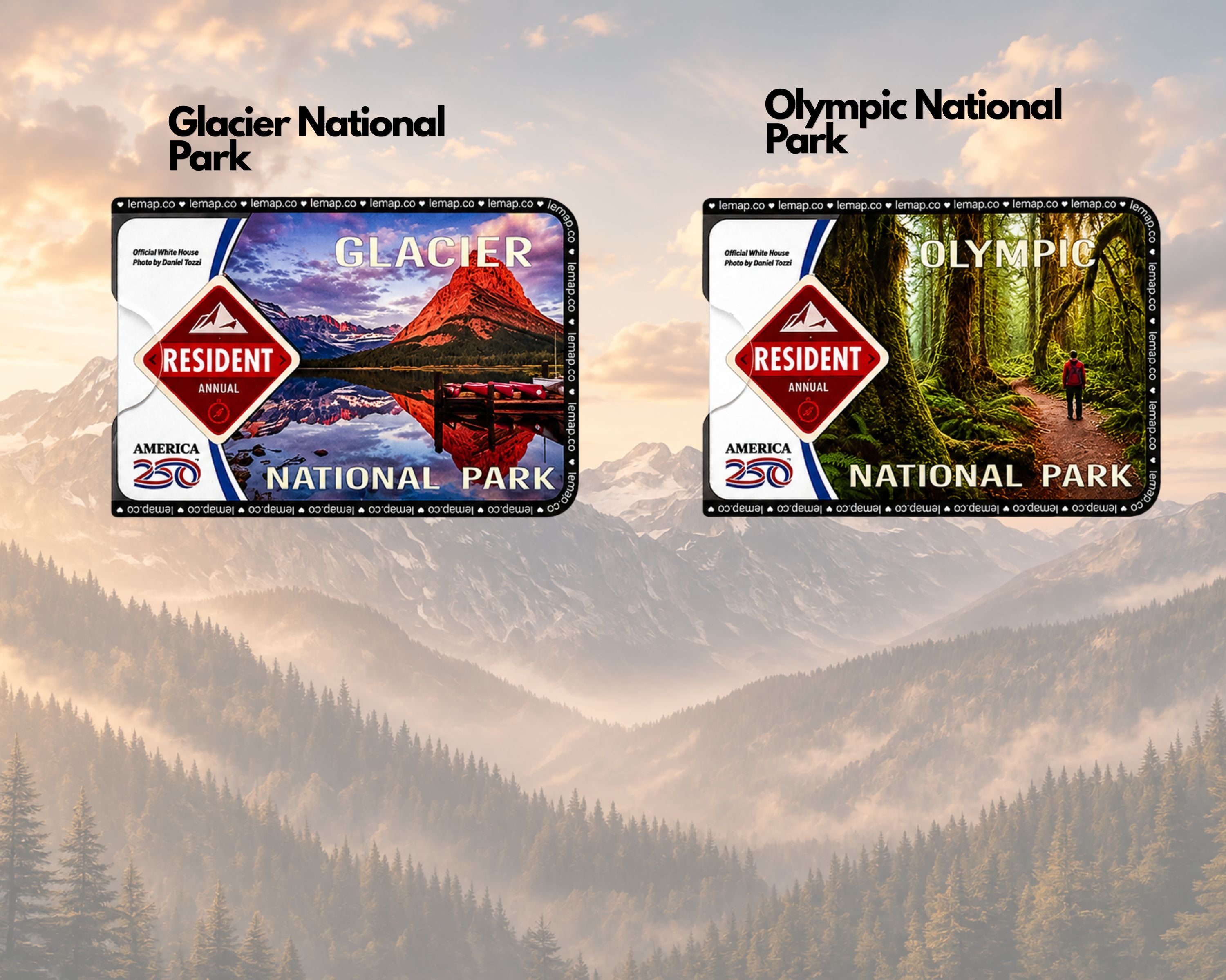 National Park Pass Sleeve – Card Holder | Park-Inspired Design